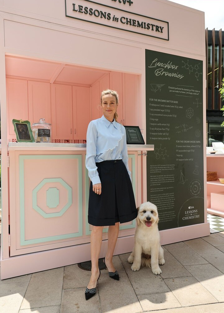 brie-larson-1 Nude Leaks OnlyFans Photos #486 - LeakJerk