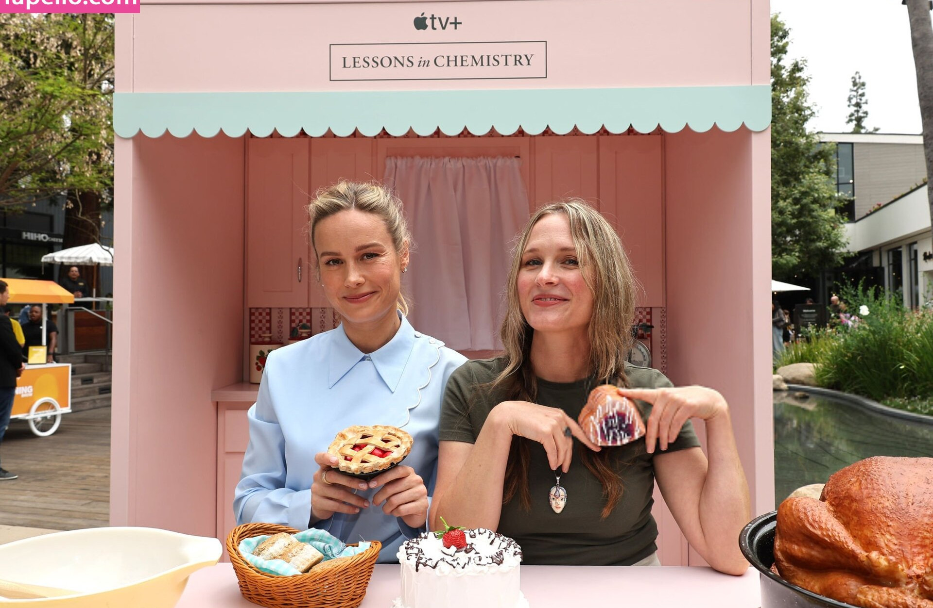 brie-larson-1 Nude Leaks OnlyFans Photos #509 - LeakJerk