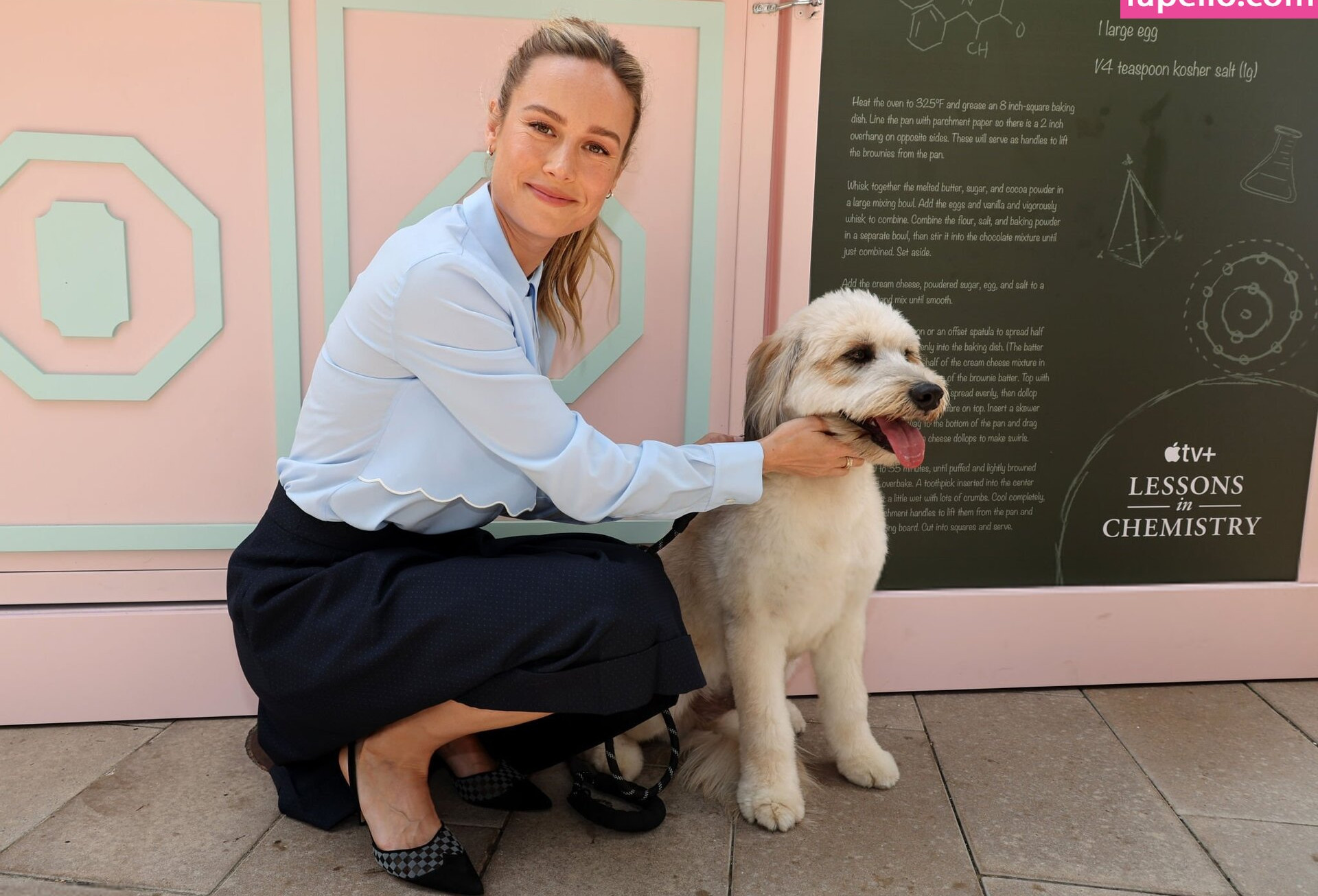 brie-larson-1 Nude Leaks OnlyFans Photos #511 - LeakJerk