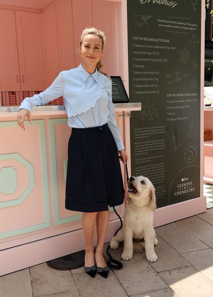 brie-larson-1 Nude Leaks OnlyFans Photos #512 - LeakJerk