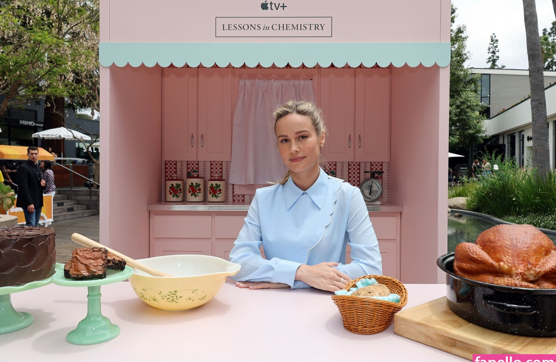 brie-larson-1 Nude Leaks OnlyFans Photos #515 - LeakJerk