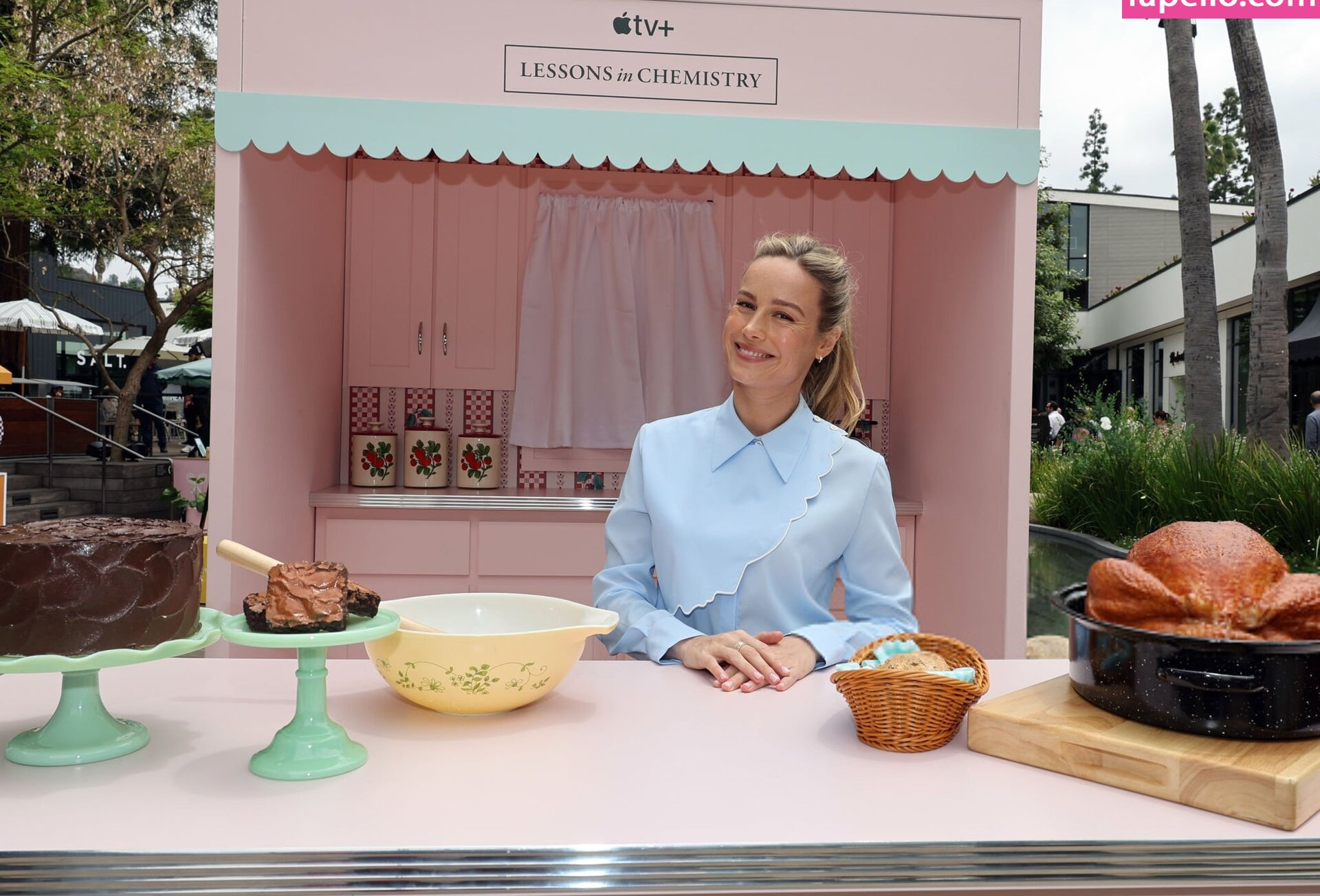 brie-larson-1 Nude Leaks OnlyFans Photos #517 - LeakJerk