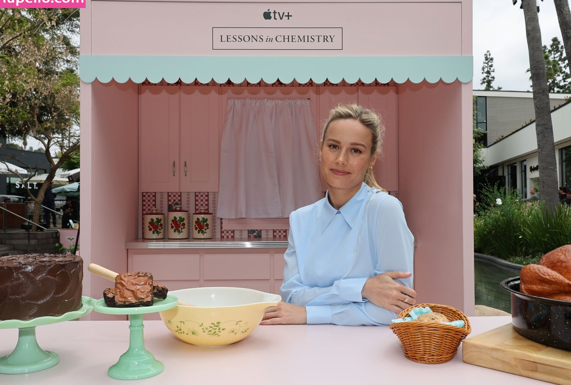 brie-larson-1 Nude Leaks OnlyFans Photos #518 - LeakJerk