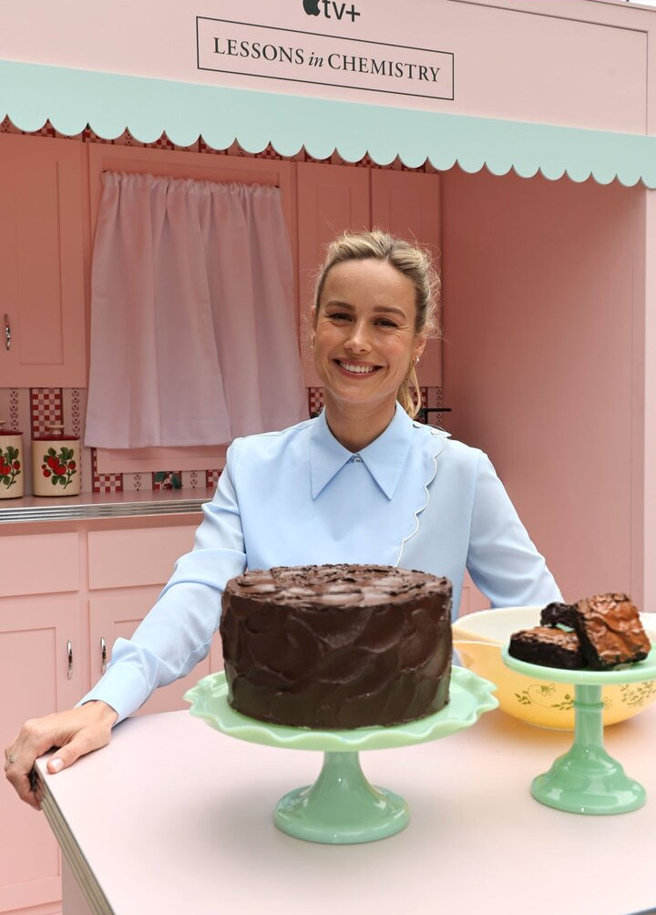 brie-larson-1 Nude Leaks OnlyFans Photos #519 - LeakJerk