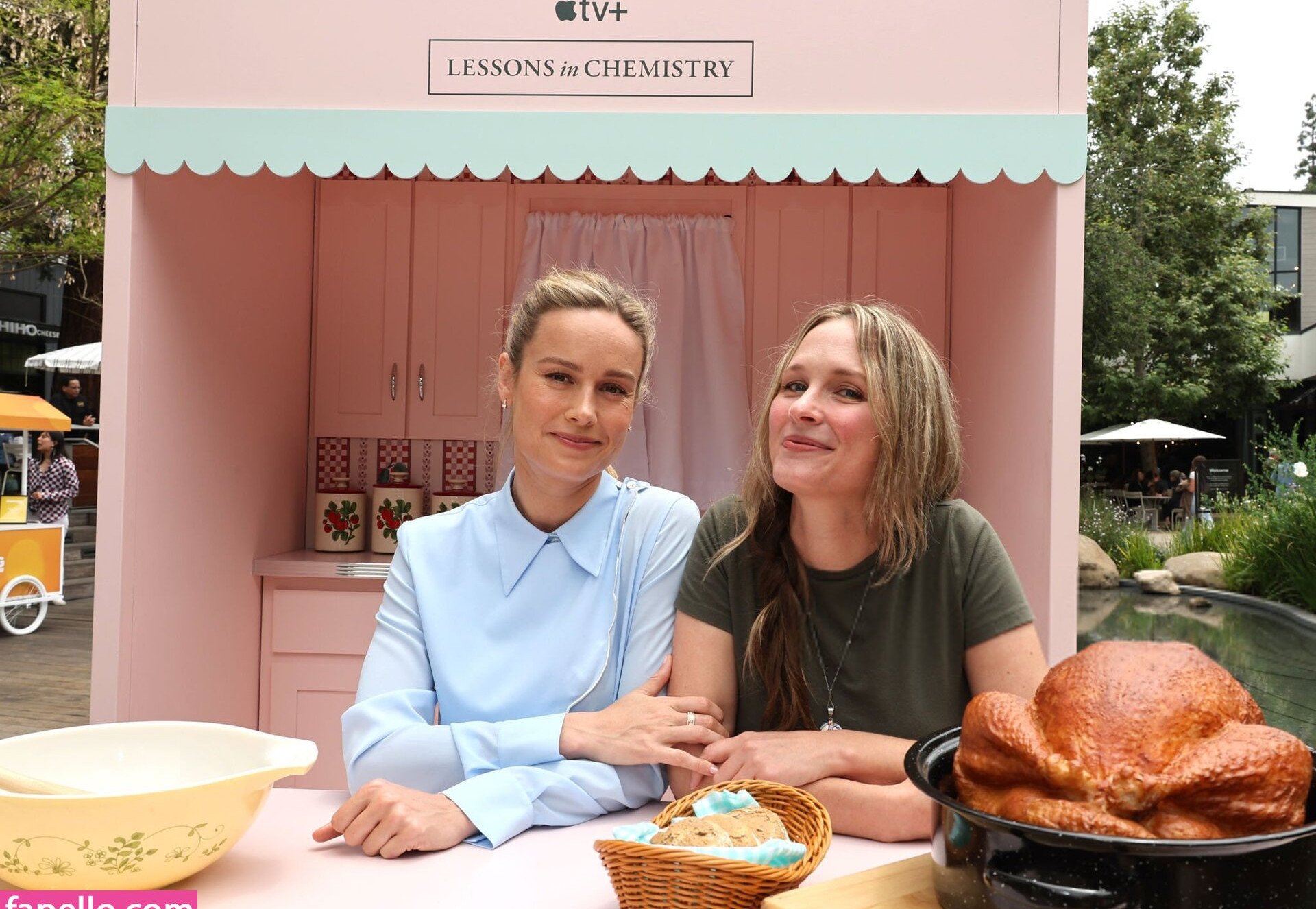 brie-larson-1 Nude Leaks OnlyFans Photos #521 - LeakJerk