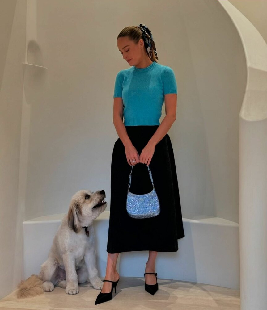 brie-larson-1 Nude Leaks OnlyFans Photos #538 - LeakJerk