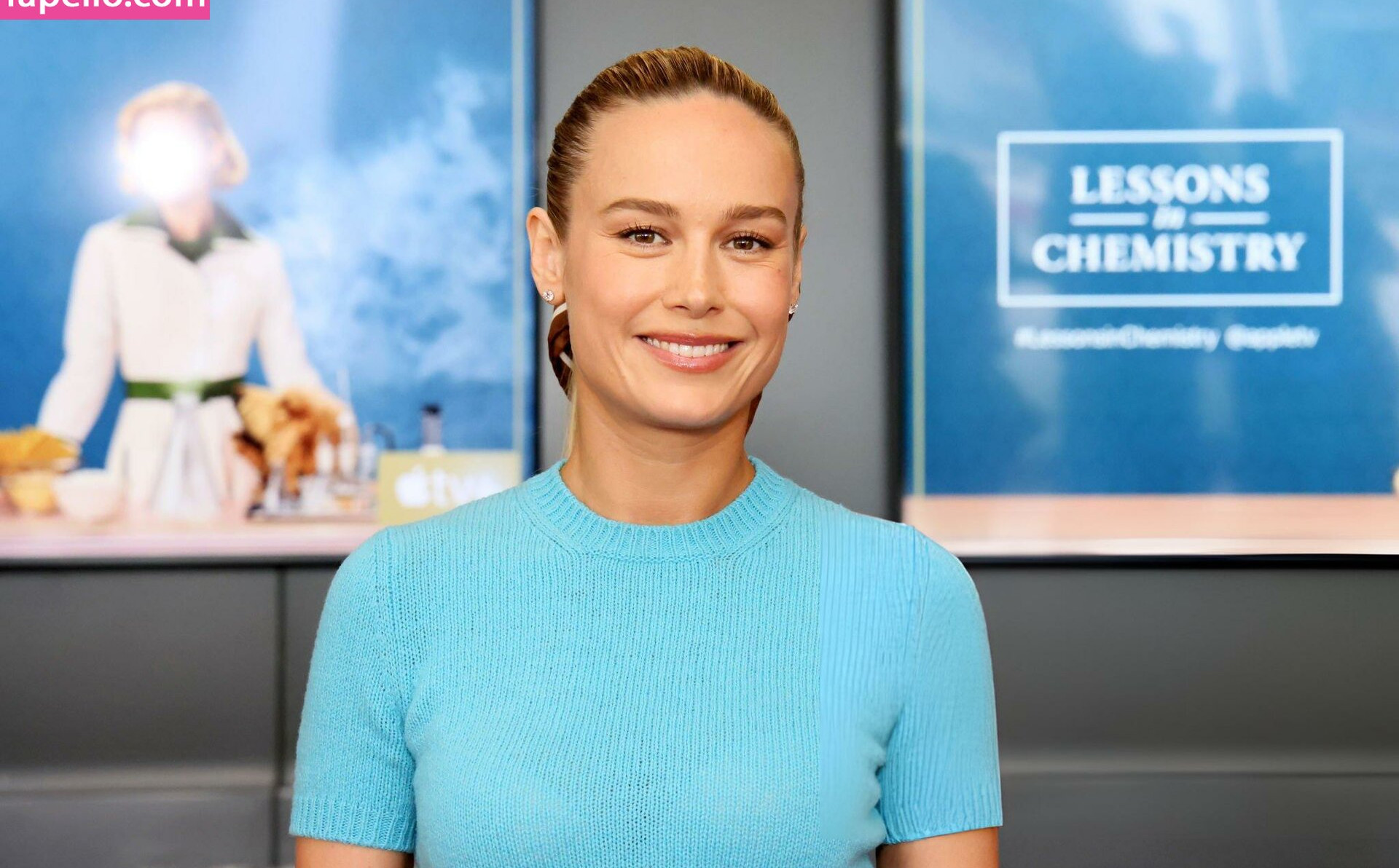 brie-larson-1 Nude Leaks OnlyFans Photos #542 - LeakJerk