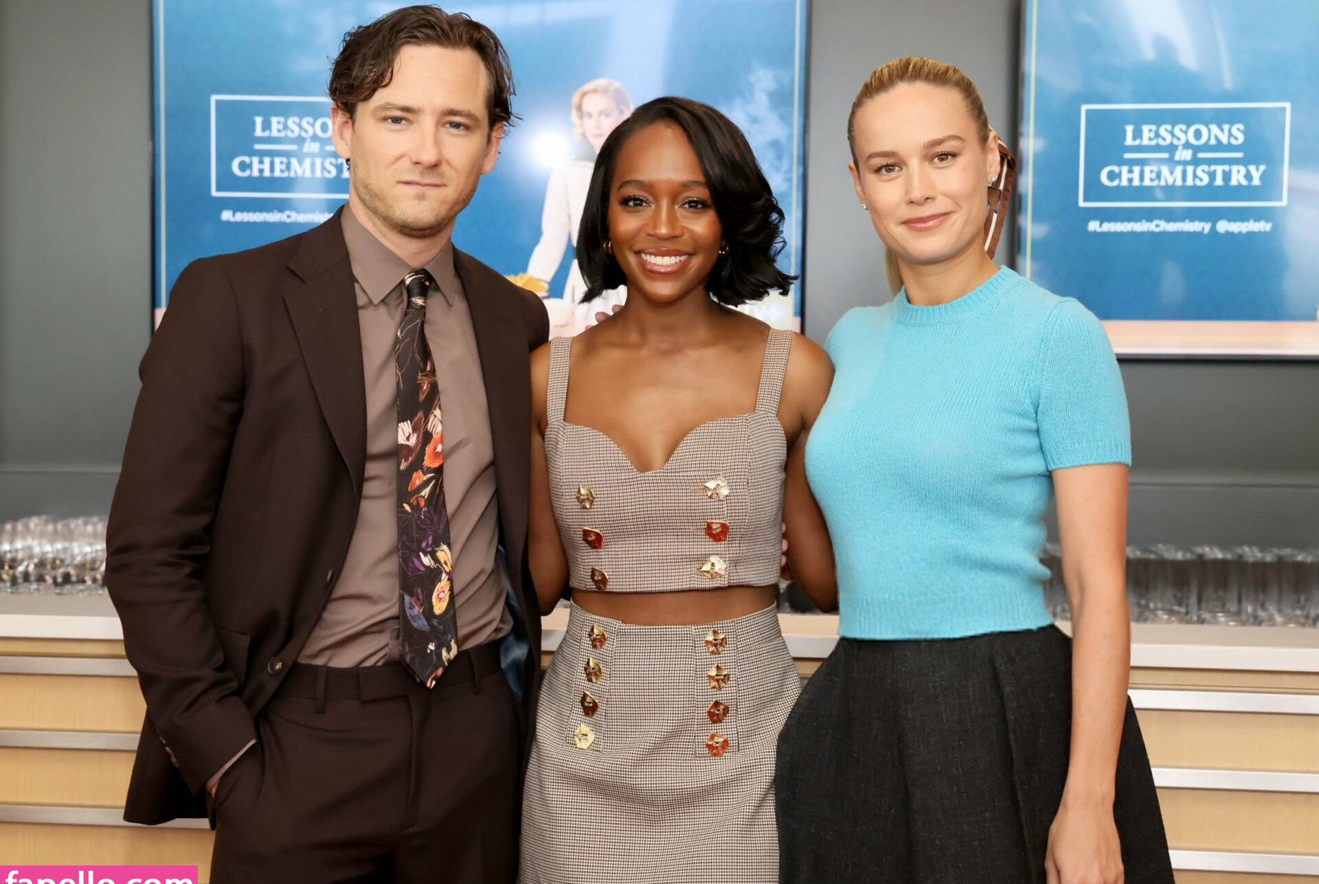 brie-larson-1 Nude Leaks OnlyFans Photos #546 - LeakJerk