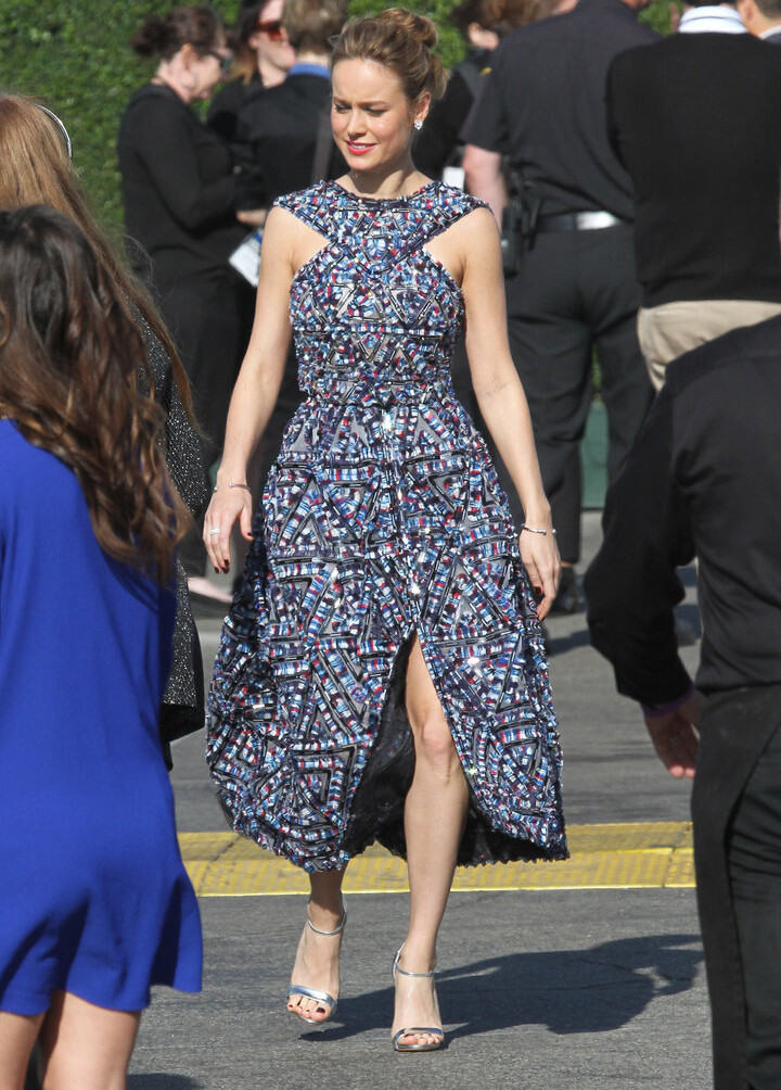 brie-larson-1 Nude Leaks OnlyFans Photos #594 - LeakJerk