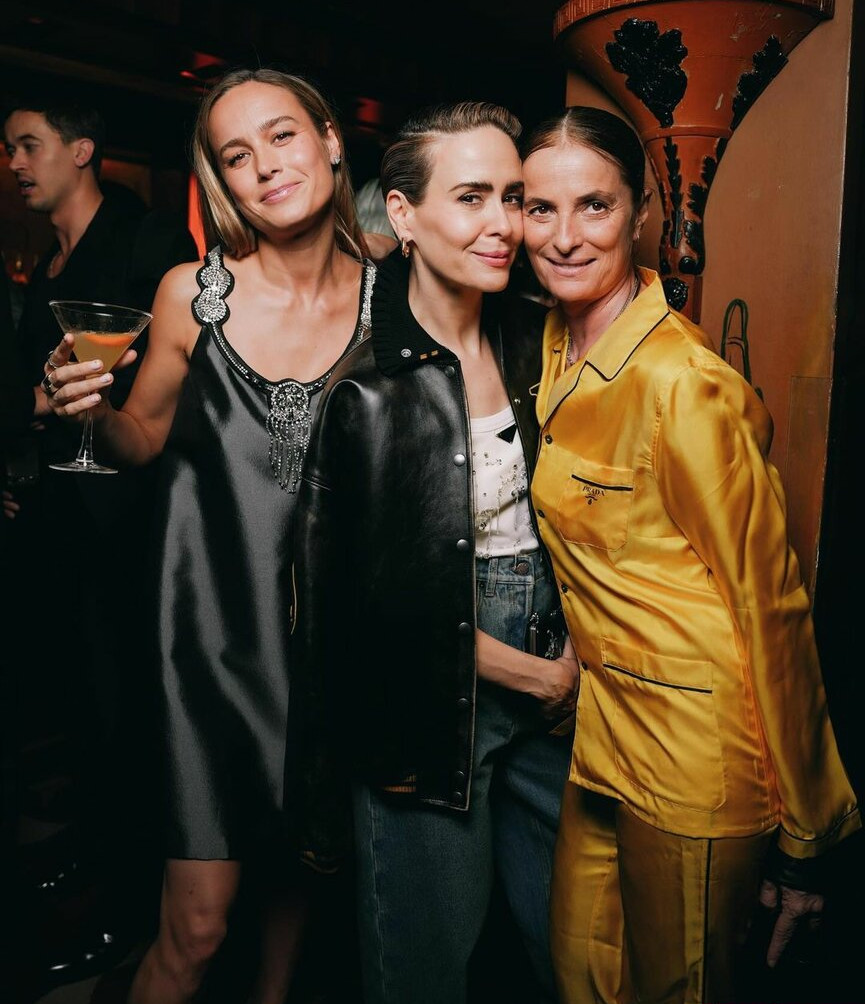 brie-larson-1 gallery photo #786