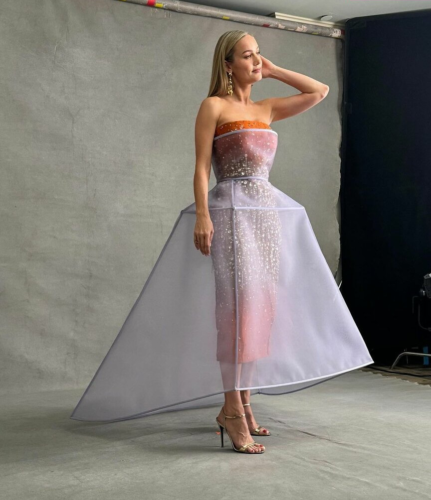 brie-larson-1 gallery photo #792