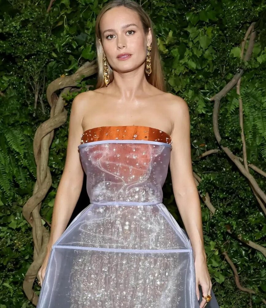 brie-larson-1 gallery photo #796
