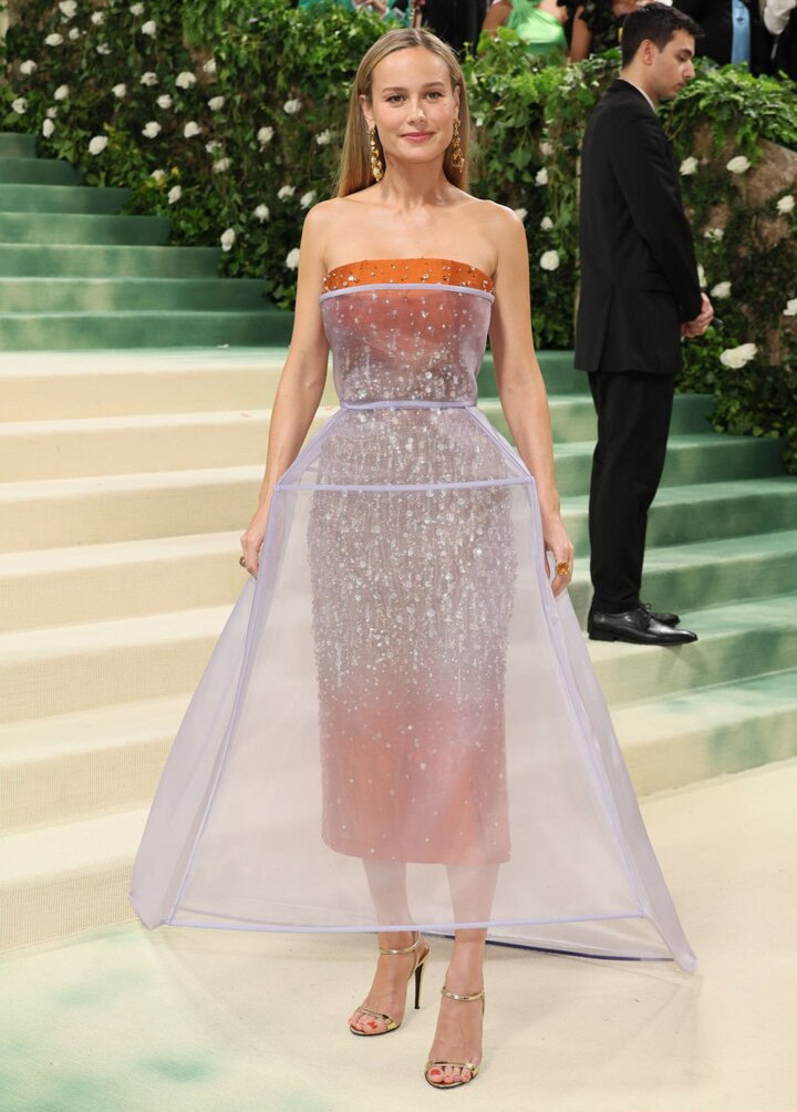 brie-larson-1 gallery photo #806