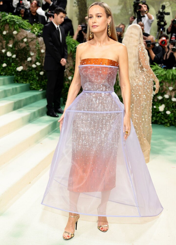 brie-larson-1 gallery photo #807