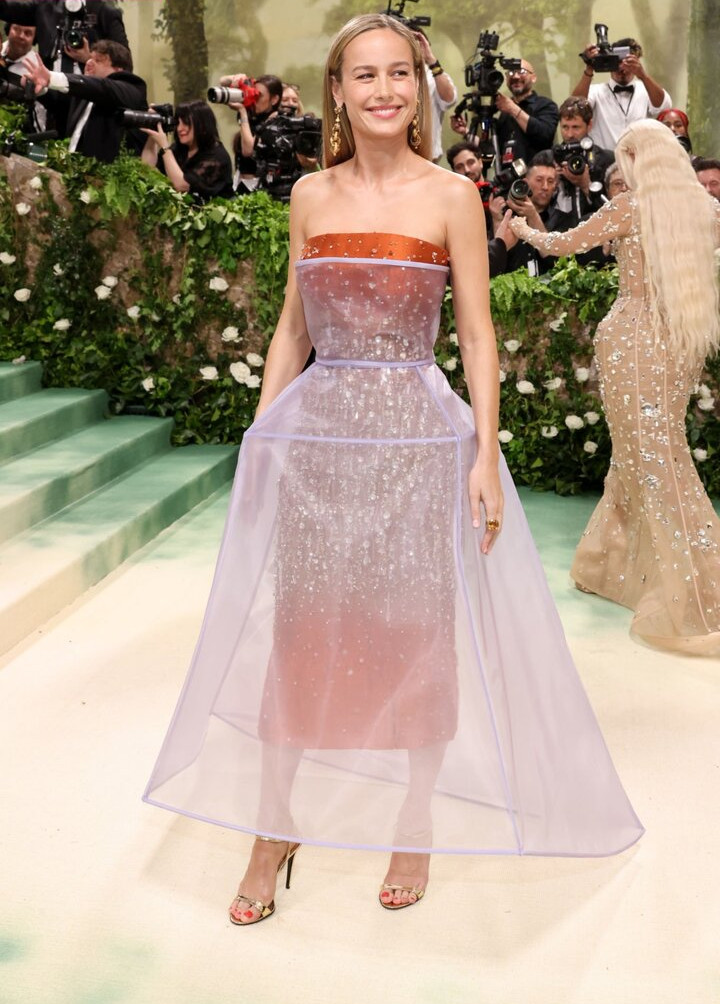 brie-larson-1 gallery photo #808