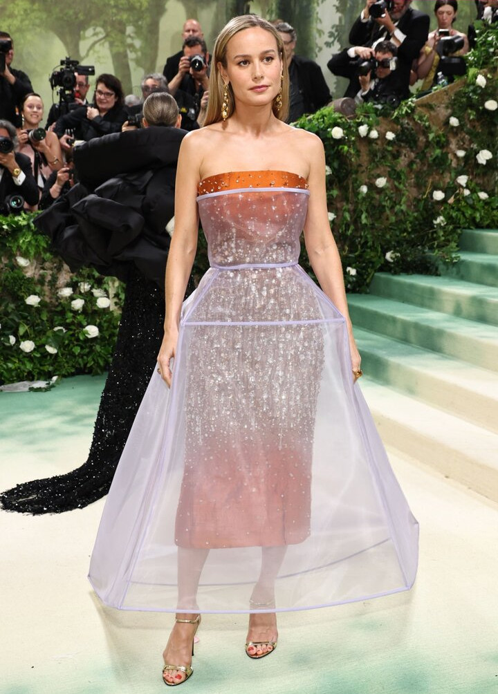 brie-larson-1 gallery photo #810