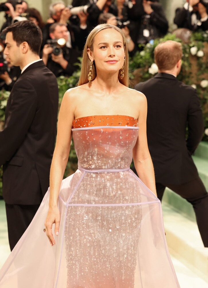 brie-larson-1 gallery photo #812