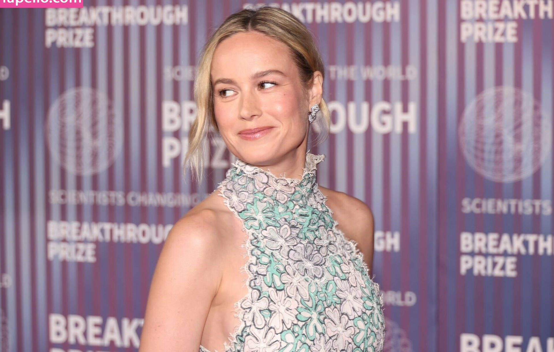 brie-larson-1 gallery photo #904