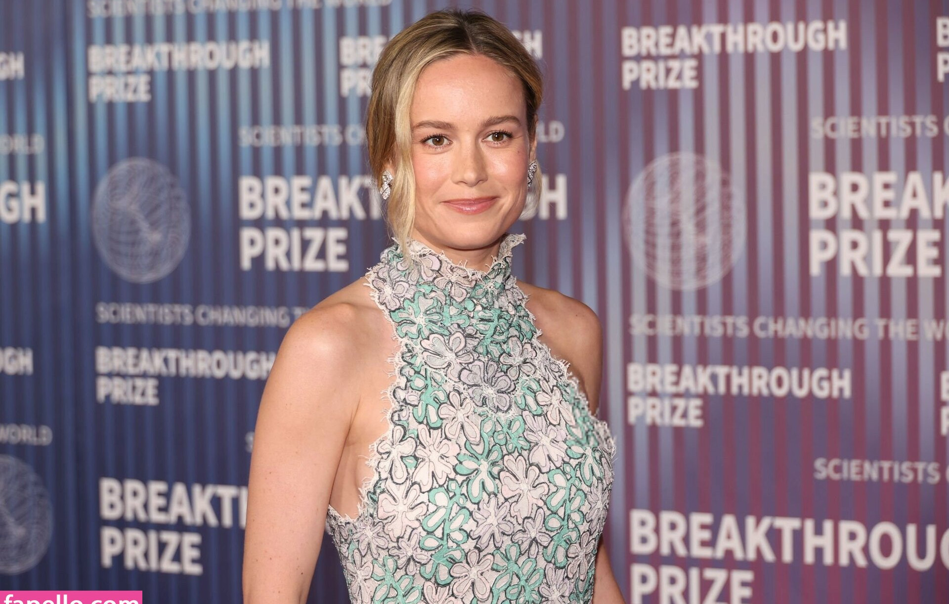 brie-larson-1 gallery photo #905