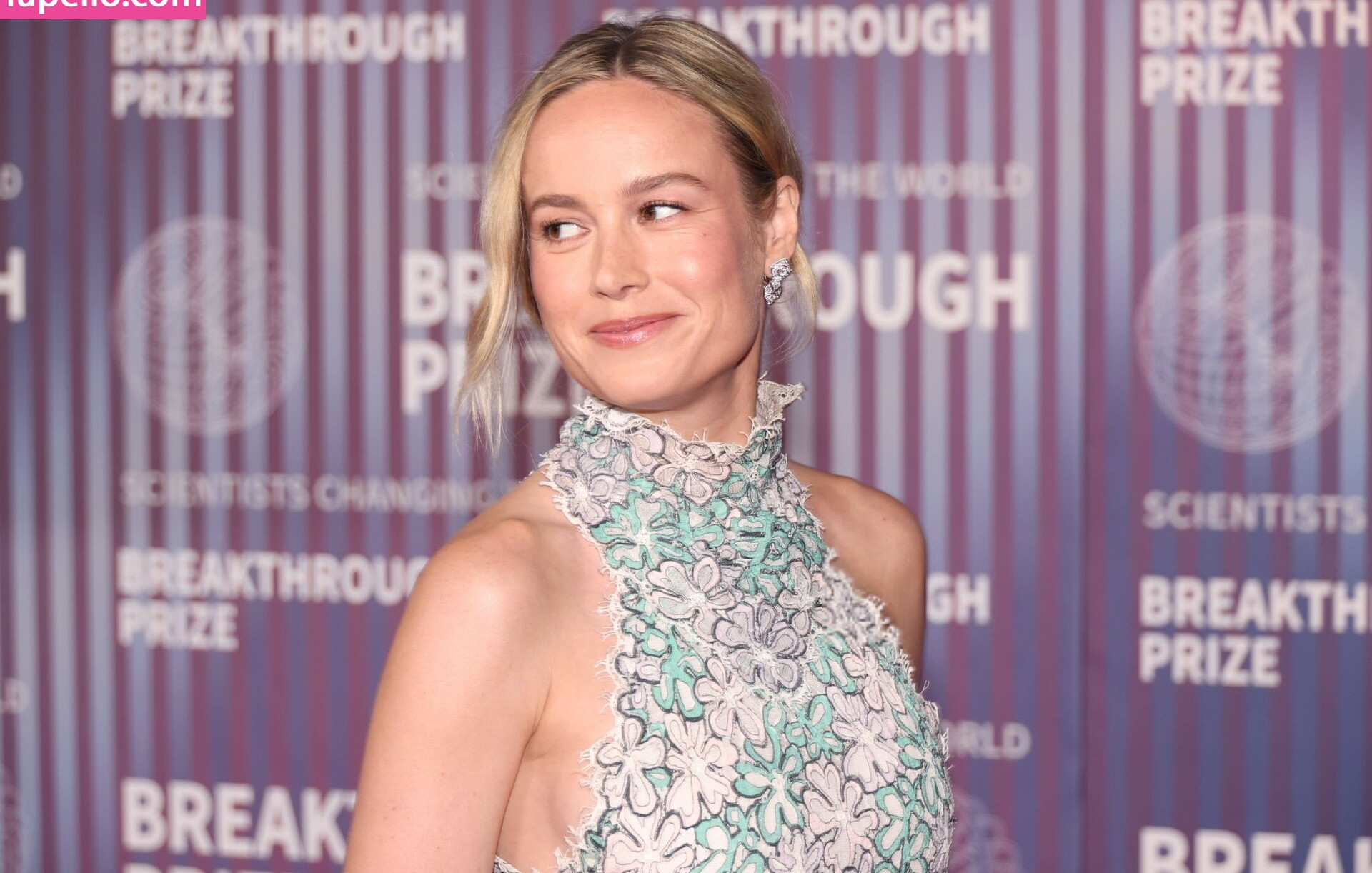 brie-larson-1 gallery photo #921