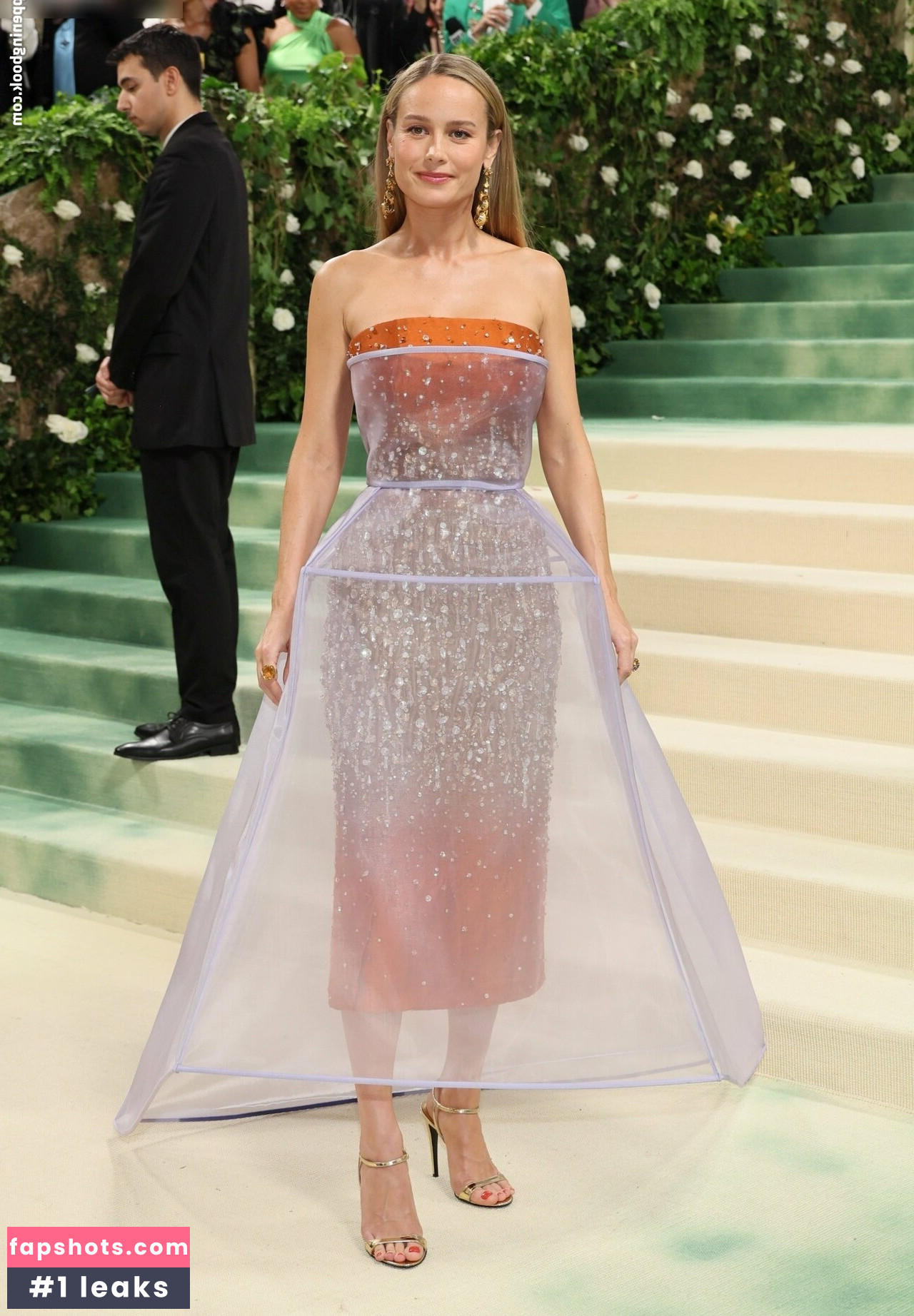 Brie Larson Nude Leaks OnlyFans Photos #120 - Fapshots