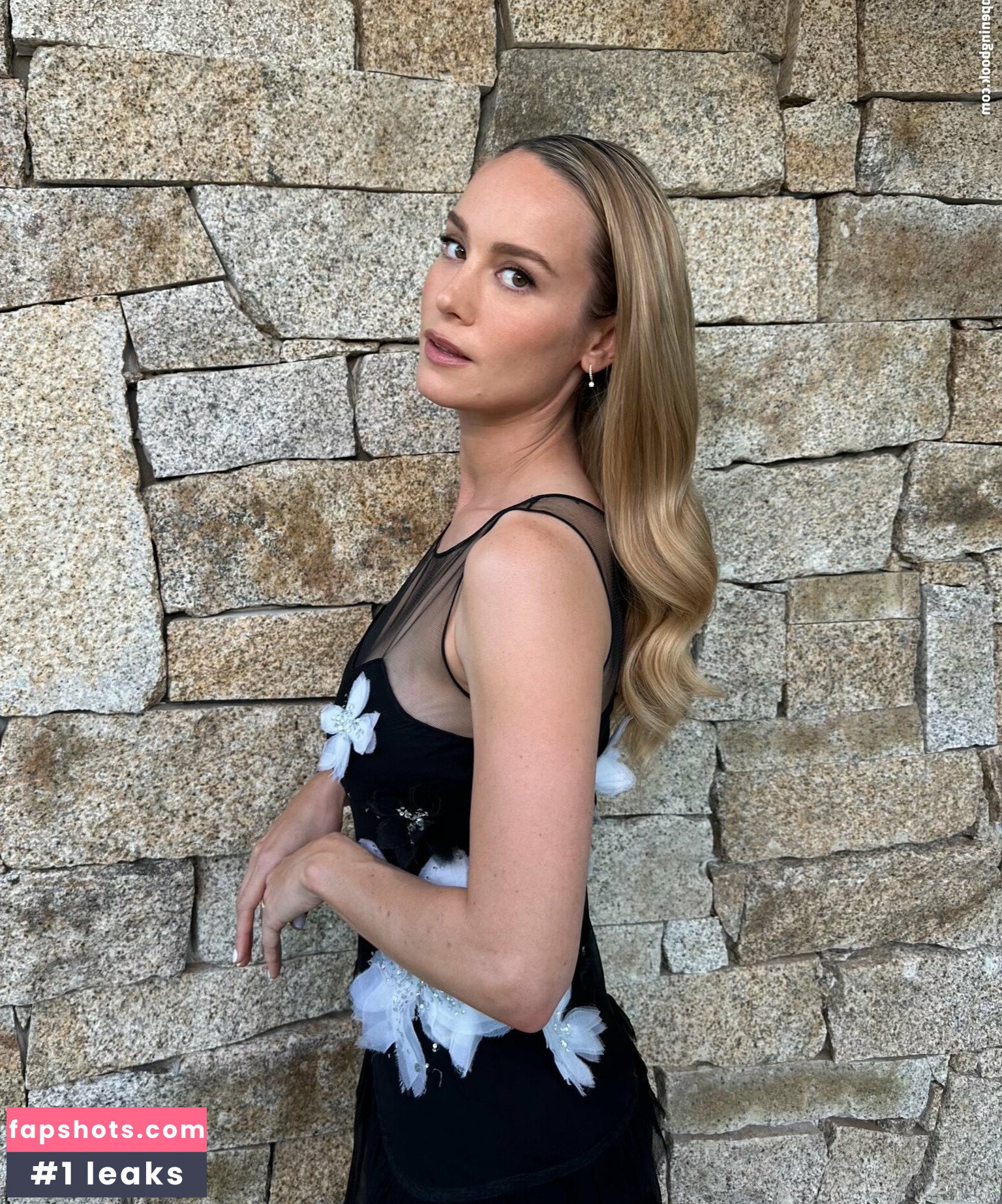 Brie Larson Nude Leaks OnlyFans Photos #124 - Fapshots