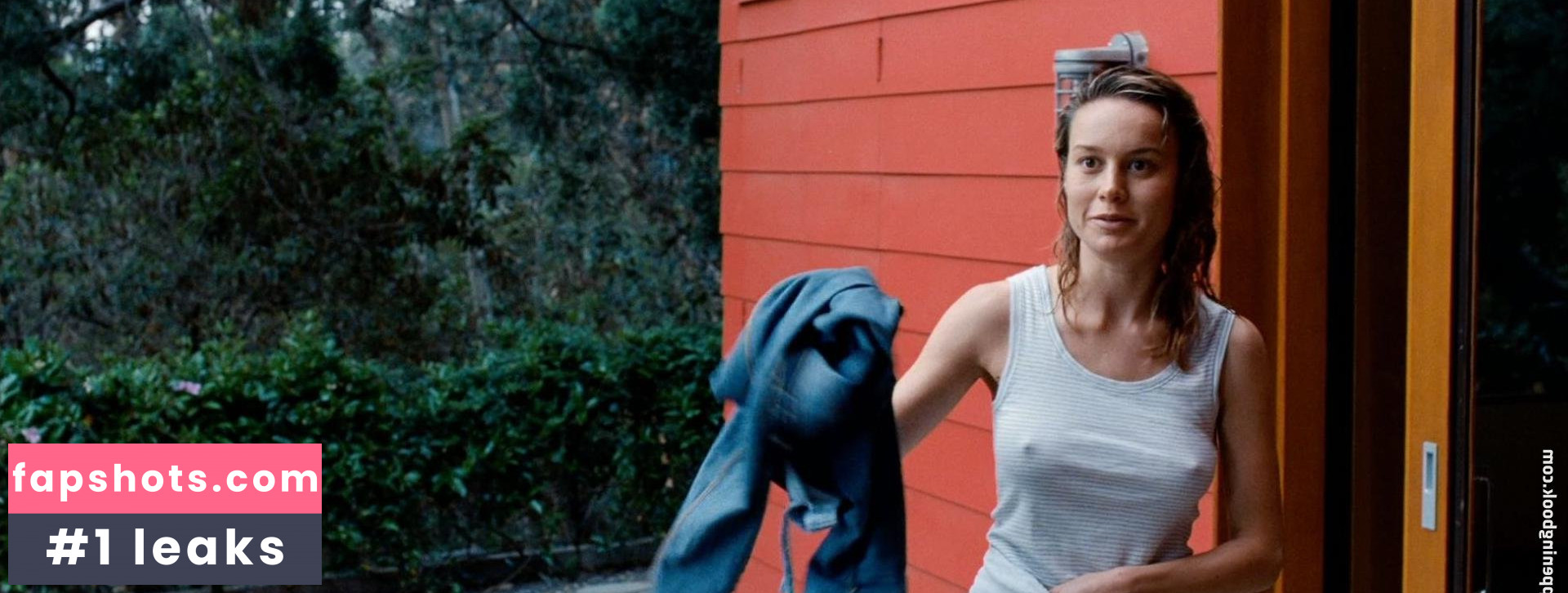 Brie Larson Nude Leaks OnlyFans Photos #595 - Fapshots