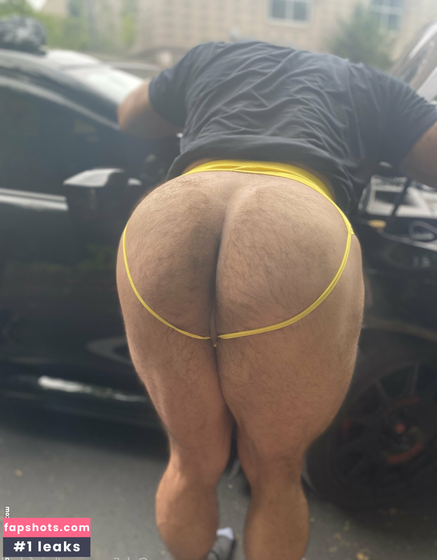 briefsbull gallery photo #45