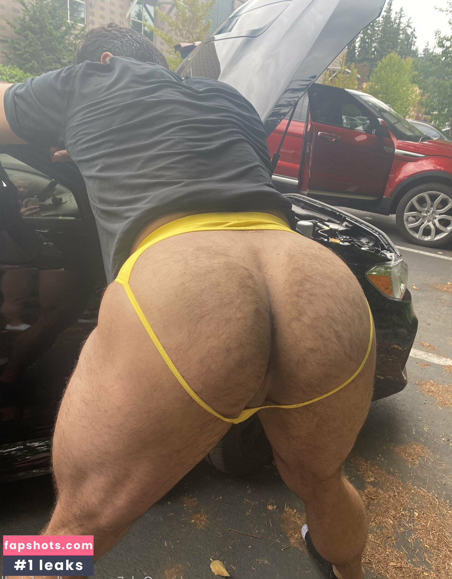 briefsbull gallery photo #56