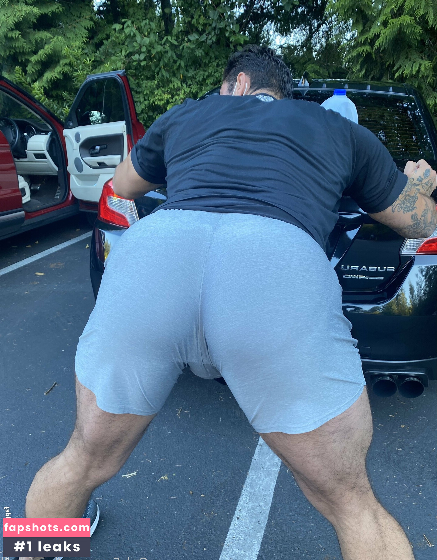 briefsbull gallery photo #71