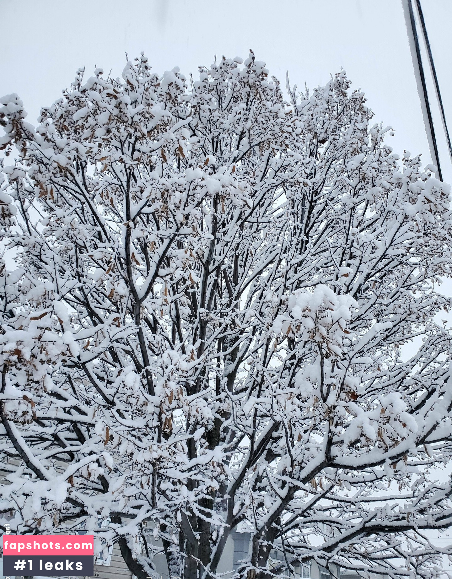 brihanna_babe Nahé úniky fotek pouze od fanoušků #7 - Fapshots