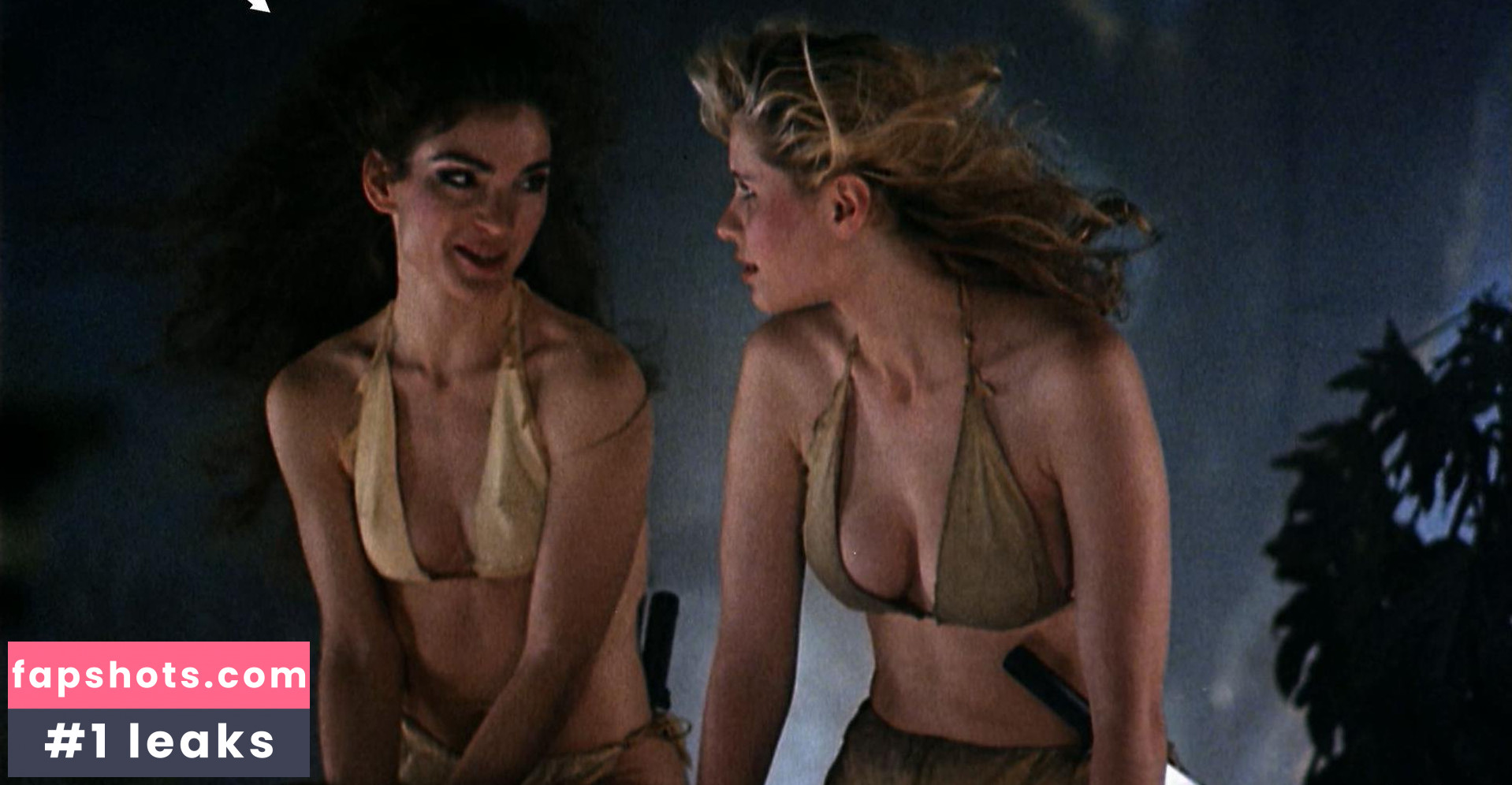 Brinke Stevens gallery photo #21