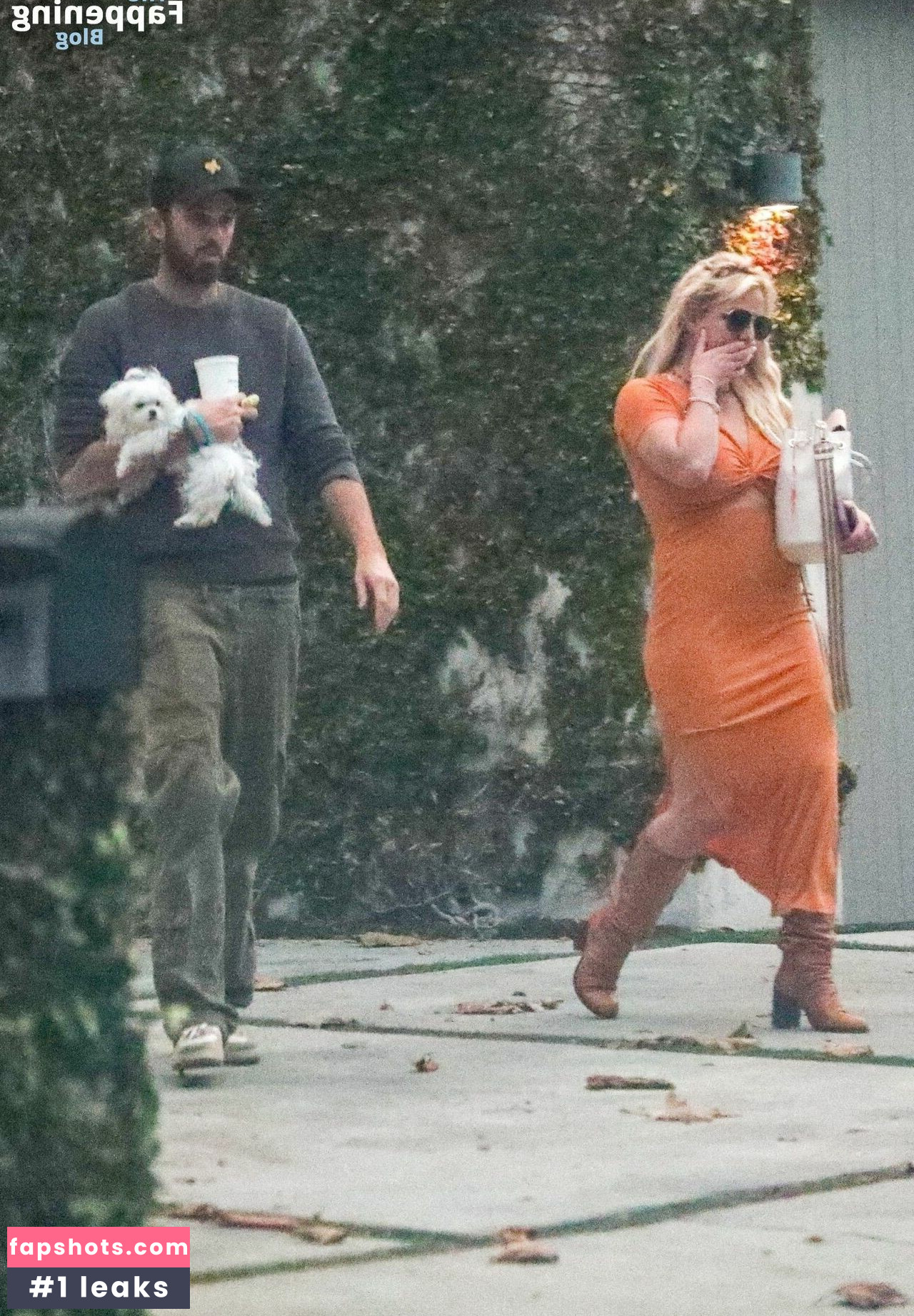 Britney Spears Filtración Desnuda OnlyFans Foto #459 - Fapshots