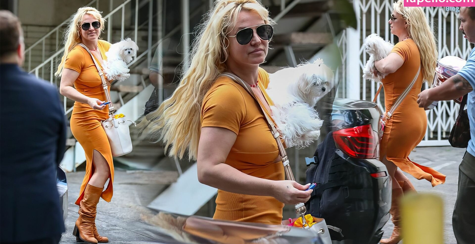 britney-spears gallery photo #1441