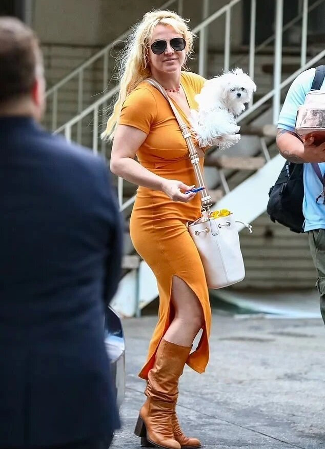 britney-spears gallery photo #1446