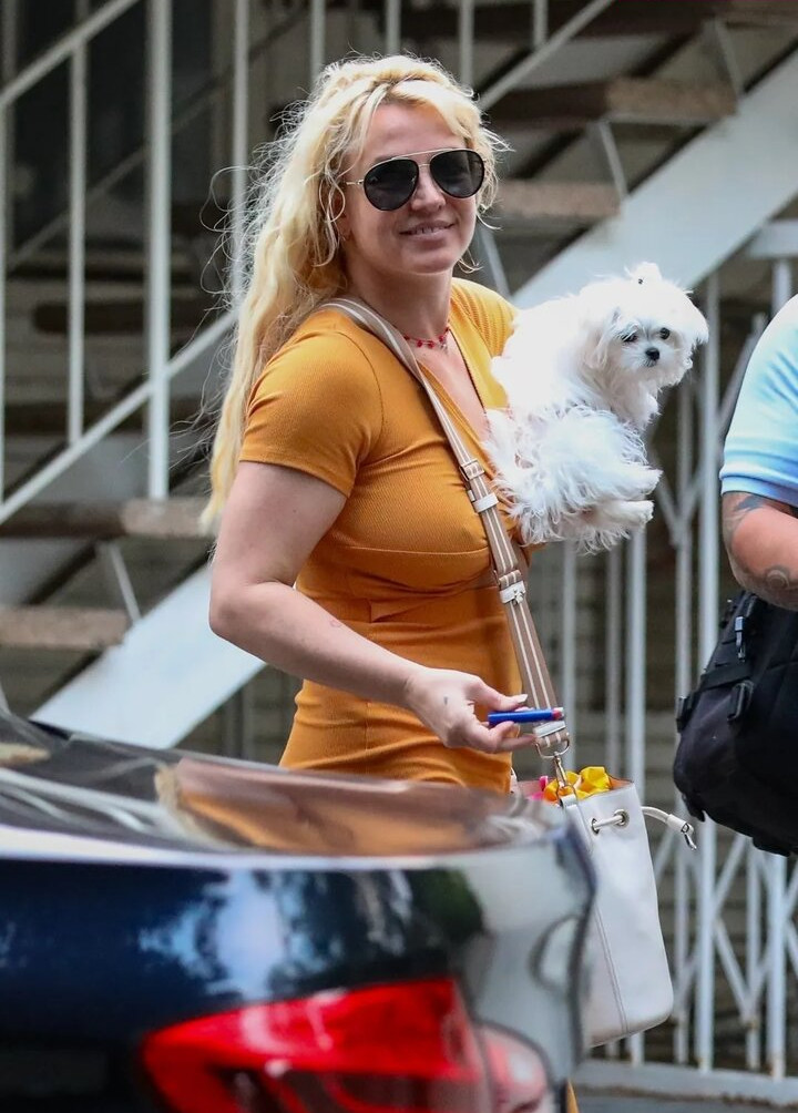 britney-spears gallery photo #1448