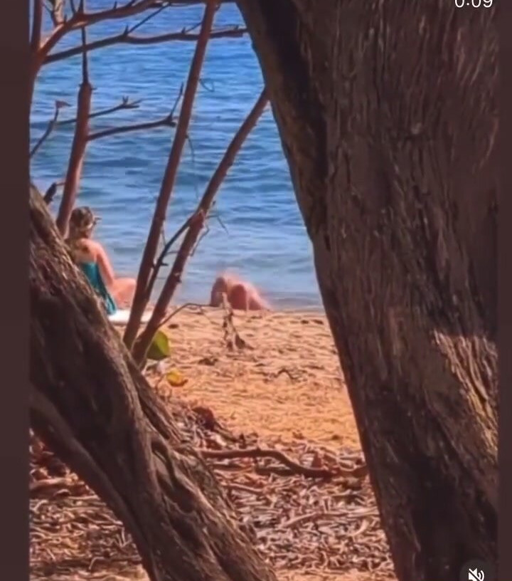 britney-spears gallery photo #2197