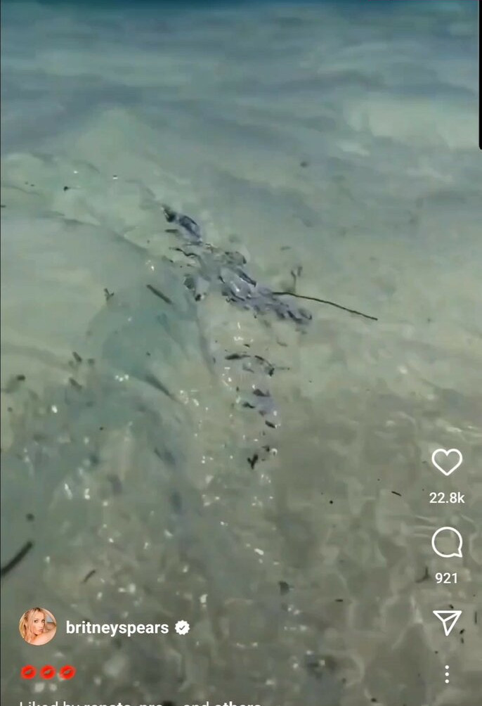 britney-spears gallery photo #2609