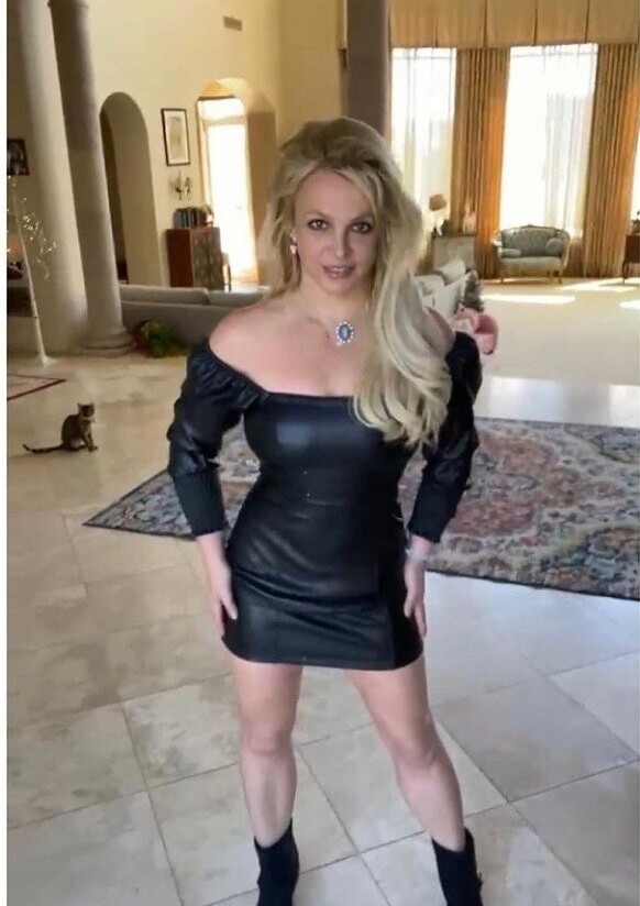 britney-spears Nude Leaks OnlyFans Photos #2773 - LeakJerk