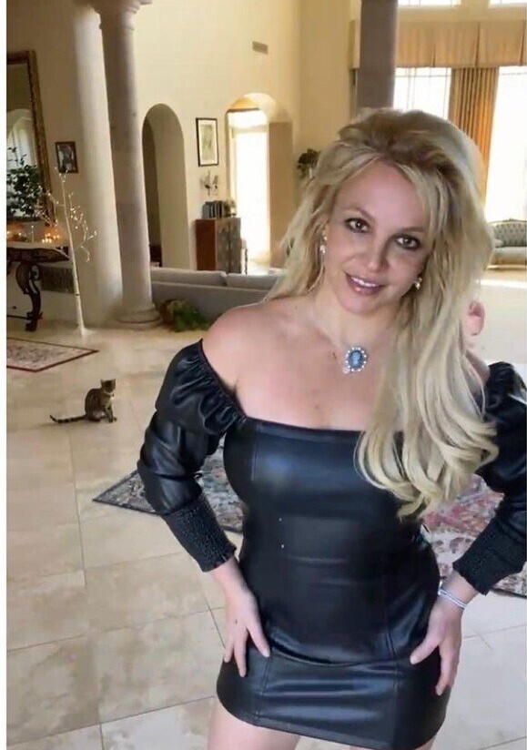 britney-spears Nude Leaks OnlyFans Photos #2775 - LeakJerk