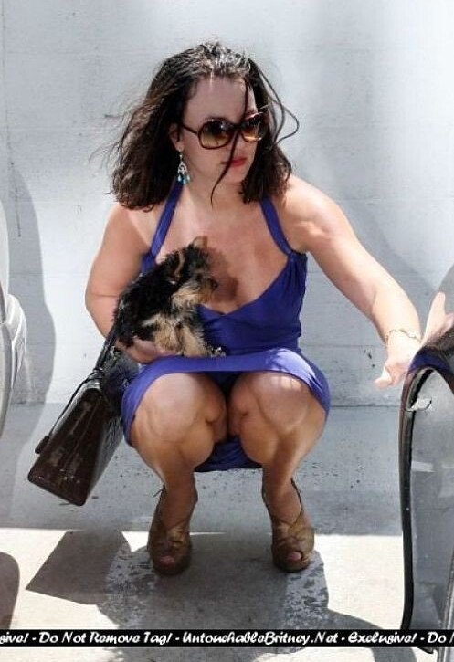 britney-spears Nude Leaks OnlyFans Photos #2854 - LeakJerk