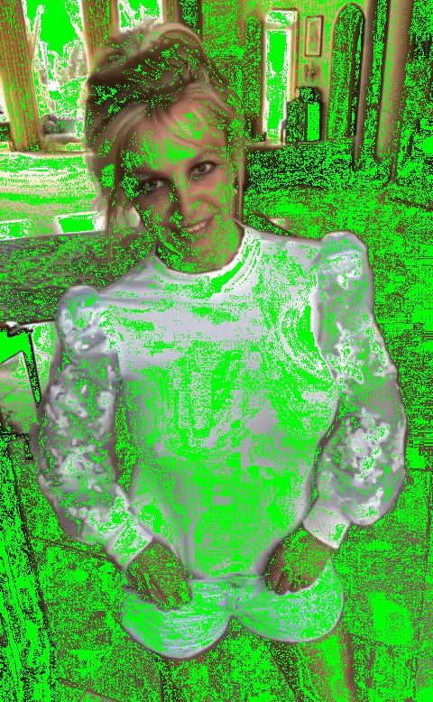 britney-spears Nude Leaks OnlyFans Photos #2858 - LeakJerk