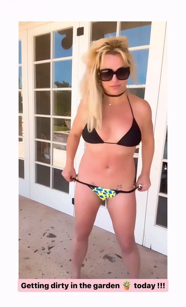 britney-spears Nude Leaks OnlyFans Photos #437 - LeakJerk