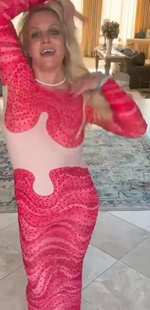 britney-spears Nude Leaks OnlyFans Photos #463 - LeakJerk