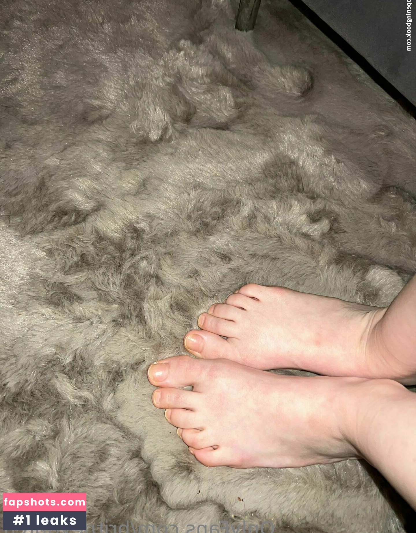 britneydutch gallery photo #21