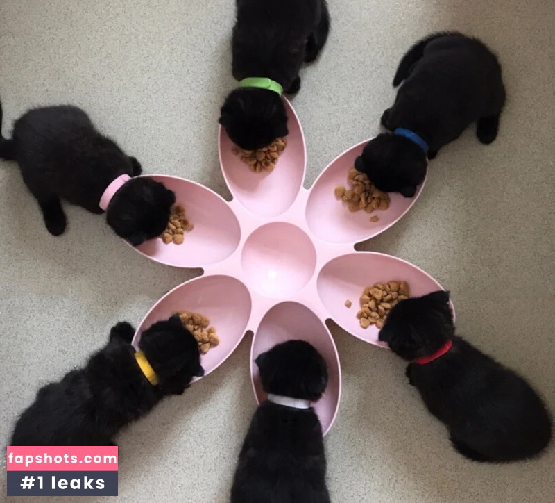 Britt Robertson gallery photo #14