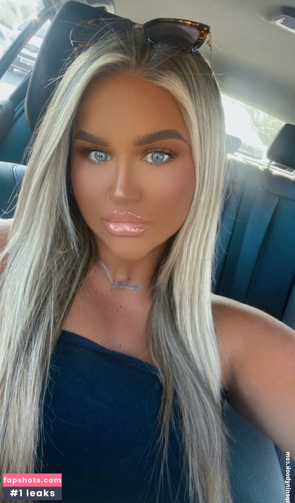 Brittany gallery photo #48