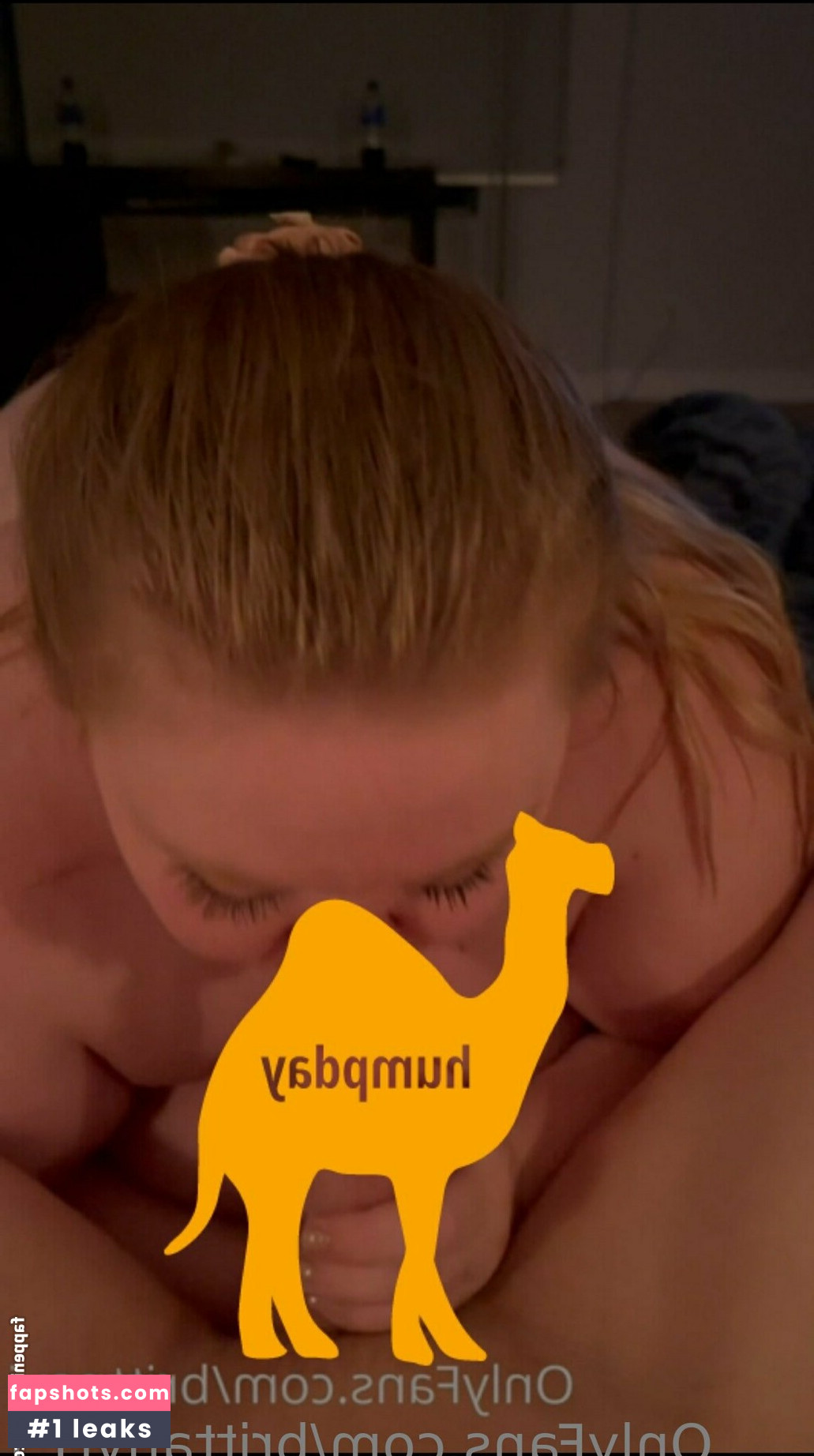 brittanyj15 Nude Leaks OnlyFans Photos #2 - LeakJerk