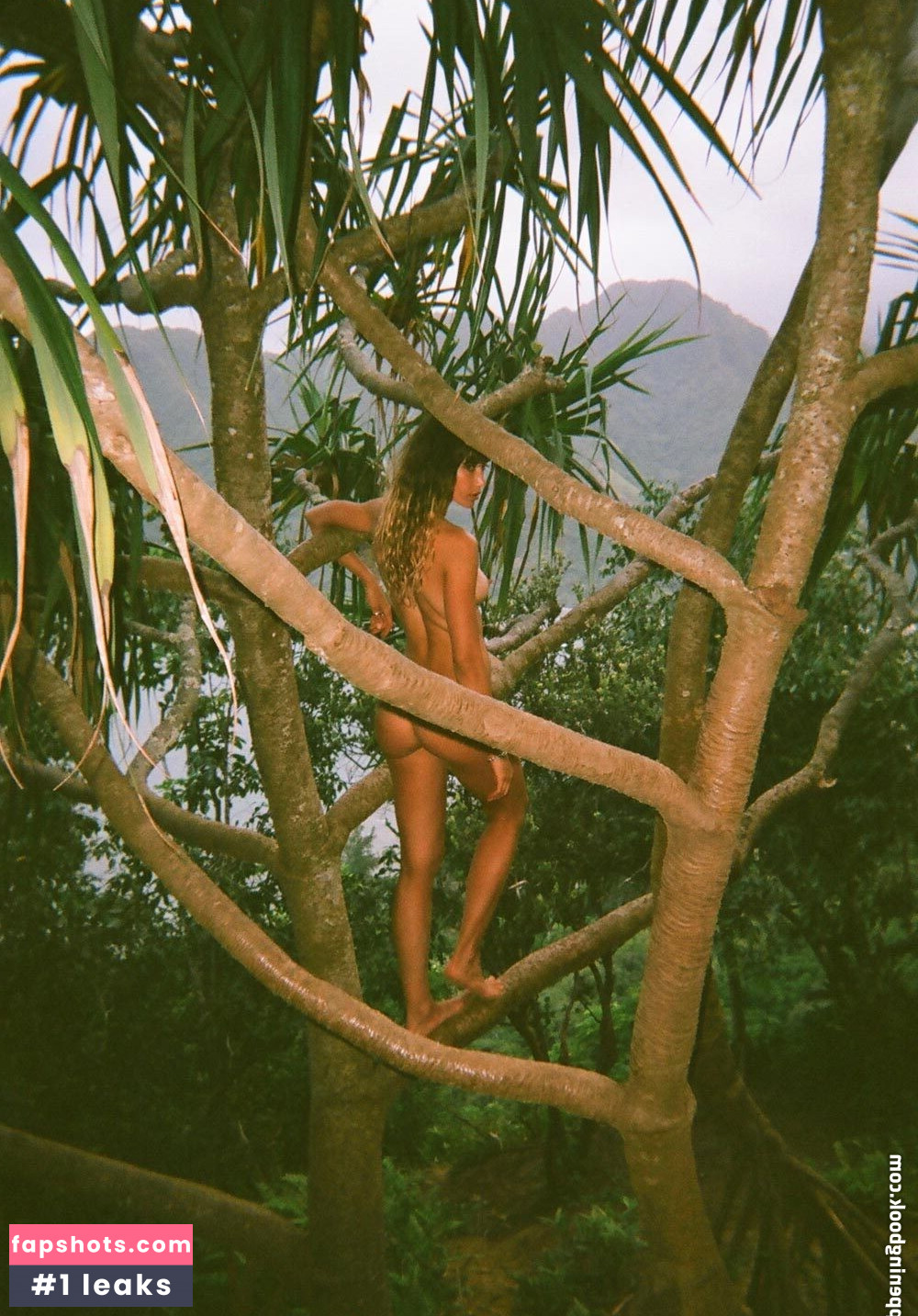 Brook Power gallery photo #13