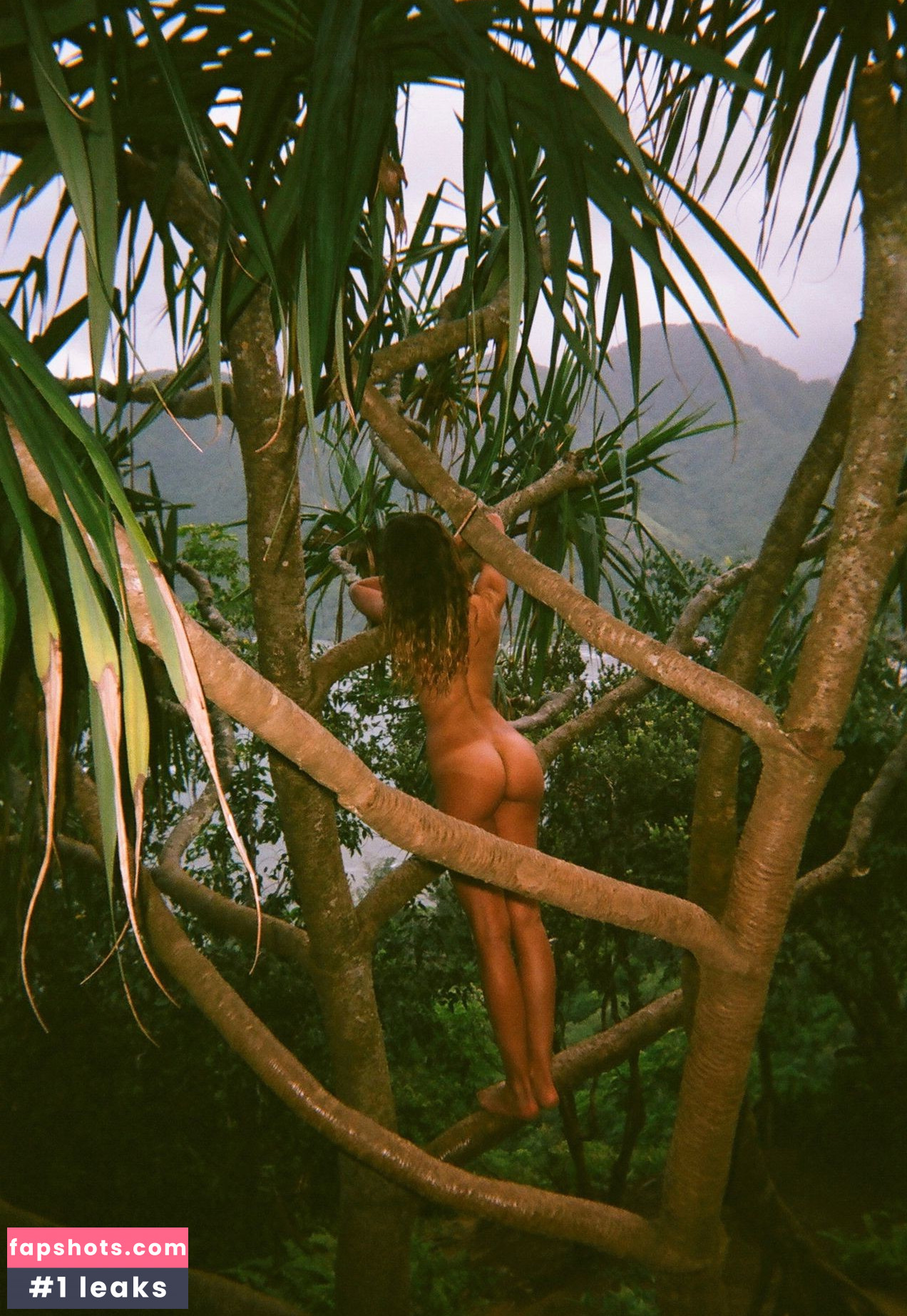 Brook Power gallery photo #5